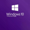 Microsoft Windows 10 OEM Pro Microsoft PC Key GLOBAL Microsoft Windows 10 OEM Pro Microsoft PC Key GLOBAL
