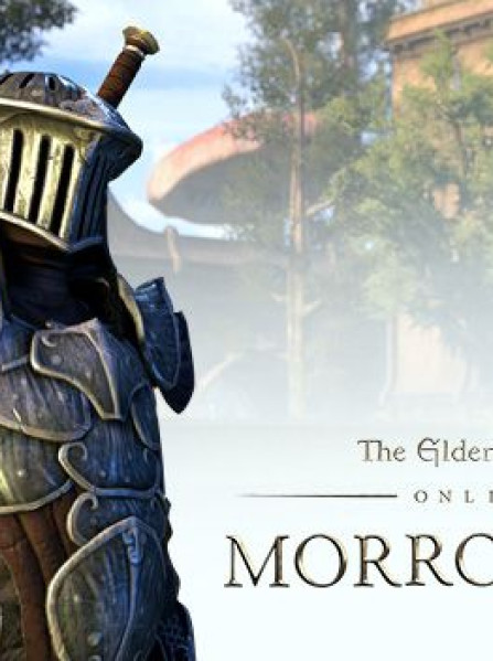 The Elder Scrolls III: Morrowind GOTY Edition Steam GLOBAL The Elder Scrolls III: Morrowind GOTY Edition Steam GLOBAL