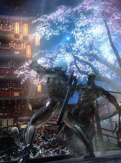 Metal Gear Rising: Revengeance Steam Key GLOBAL