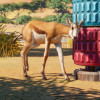Planet Zoo Steam Key GLOBAL Planet Zoo Steam Key GLOBAL