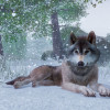 Planet Zoo Steam Key GLOBAL Planet Zoo Steam Key GLOBAL