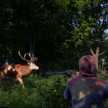 Medieval Dynasty (PC) - Steam Key - GLOBAL