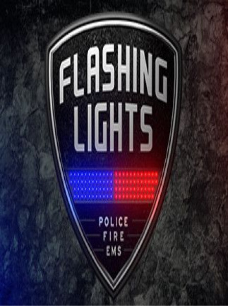 Flashing Lights - Police Fire EMS Steam Key GLOBAL Flashing Lights - Police Fire EMS Steam Key GLOBAL