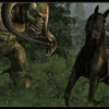 Two Worlds Epic Edition Steam Key GLOBAL Two Worlds Epic Edition Steam Key GLOBAL
