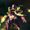 Digimon Story Cyber Sleuth: Complete Edition - Steam - Key GLOBAL Digimon Story Cyber Sleuth: Complete Edition - Steam - Key GLOBAL
