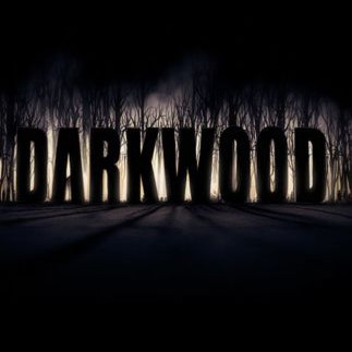 Darkwood Steam Key GLOBAL