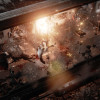Hatred (PC) - Steam Key - GLOBAL Hatred (PC) - Steam Key - GLOBAL