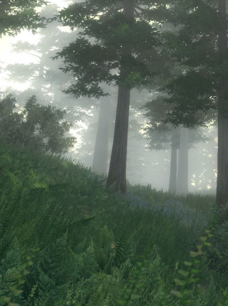 The Elder Scrolls IV: Oblivion Game of the Year Edition Steam Key GLOBAL