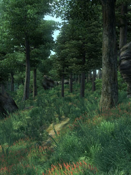 The Elder Scrolls IV: Oblivion Game of the Year Edition Steam Key GLOBAL