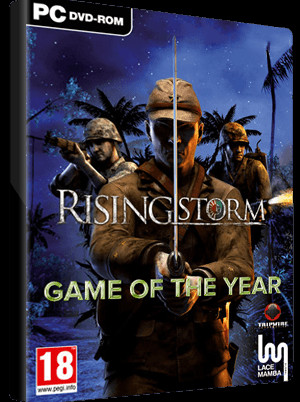 Rising Storm: Game of the Year Edition Steam Key GLOBAL