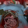 Surgeon Simulator 2013 Steam Key GLOBAL Surgeon Simulator 2013 Steam Key GLOBAL