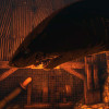 Depth Steam Key GLOBAL Depth Steam Key GLOBAL