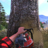Lumberjack's Dynasty (PC) - Steam Key - GLOBAL Lumberjack's Dynasty (PC) - Steam Key - GLOBAL
