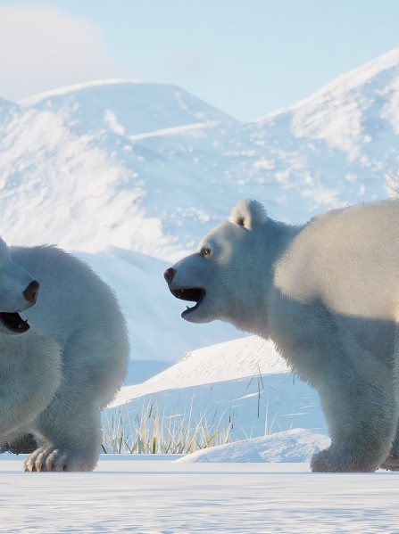 Planet Zoo: Arctic Pack - Steam Key - GLOBAL Planet Zoo: Arctic Pack - Steam Key - GLOBAL
