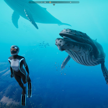 Beyond Blue (PC) - Steam Key - GLOBAL