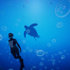 Beyond Blue (PC) - Steam Key - GLOBAL Beyond Blue (PC) - Steam Key - GLOBAL