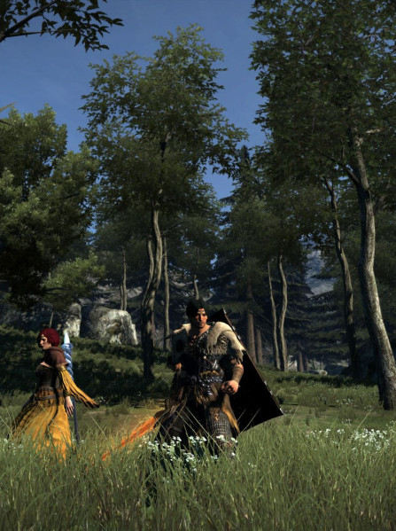 Dragon's Dogma: Dark Arisen Steam Key EUROPE Dragon's Dogma: Dark Arisen Steam Key EUROPE