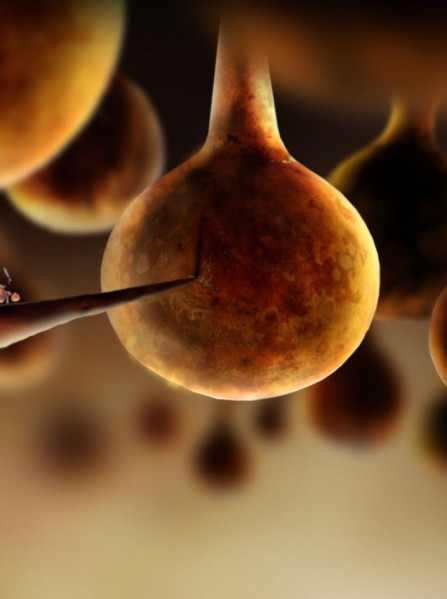 Botanicula Steam Key GLOBAL Botanicula Steam Key GLOBAL