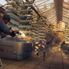 Watch Dogs 2 Deluxe Edition - Ubisoft Connect - EUROPE Watch Dogs 2 Deluxe Edition - Ubisoft Connect - EUROPE