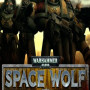 Warhammer 40,000: Space Wolf Steam Key GLOBAL