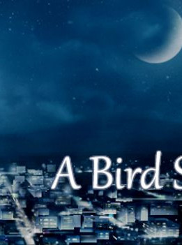 A Bird Story Steam Key GLOBAL