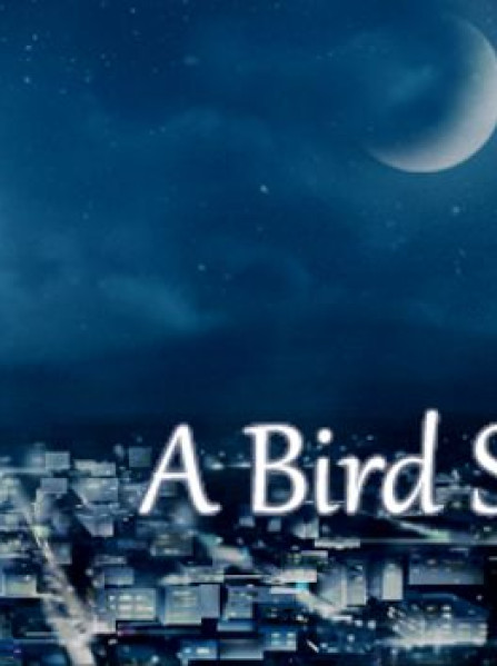A Bird Story Steam Key GLOBAL A Bird Story Steam Key GLOBAL