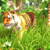 Wildlife Park 3 Steam Key GLOBAL Wildlife Park 3 Steam Key GLOBAL