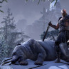 The Elder Scrolls Online Xbox Live Key UNITED STATES The Elder Scrolls Online Xbox Live Key UNITED STATES