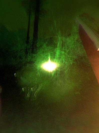 Overcast - Walden and the Werewolf Steam Key GLOBAL