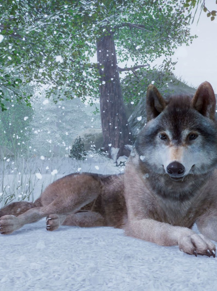 Planet Zoo - Steam - Key EUROPE Planet Zoo - Steam - Key EUROPE