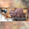 Paperbark - Steam - Key GLOBAL Paperbark - Steam - Key GLOBAL