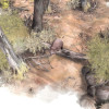 Paperbark - Steam - Key GLOBAL Paperbark - Steam - Key GLOBAL