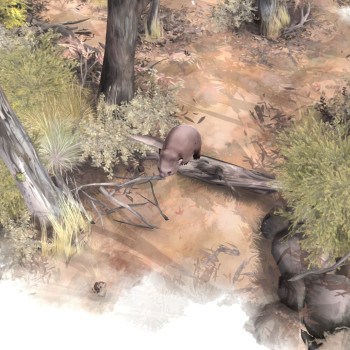 Paperbark - Steam - Key GLOBAL