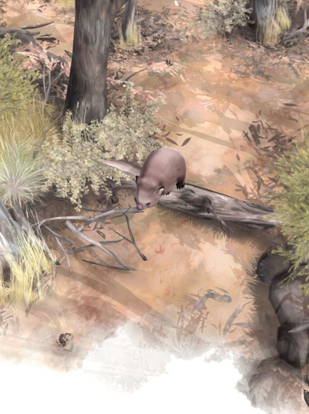Paperbark - Steam - Key GLOBAL Paperbark - Steam - Key GLOBAL
