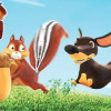 Save Your Nuts Steam Key GLOBAL Save Your Nuts Steam Key GLOBAL