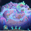 Iron Marines Steam Key GLOBAL