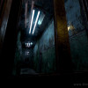 Doorways: Holy Mountains of Flesh Steam Key GLOBAL Doorways: Holy Mountains of Flesh Steam Key GLOBAL