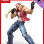 Super Smash Bros Ultimate - Terry Bogard Challenger Pack 4 (Nintendo Switch) - Nintendo Key - EUROPE