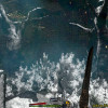 Golden Light (PC) - Steam Key - GLOBAL