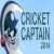 Cricket Captain 2014 Steam Key GLOBAL