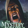 The Mystery of the Druids Steam Key GLOBAL