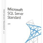 Microsoft SQL Server 2019 Standard (PC) - Microsoft Key - GLOBAL