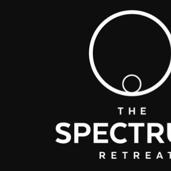 The Spectrum Retreat Steam Key GLOBAL