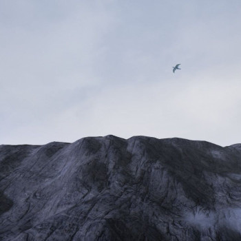 Conclusion Steam Key GLOBAL