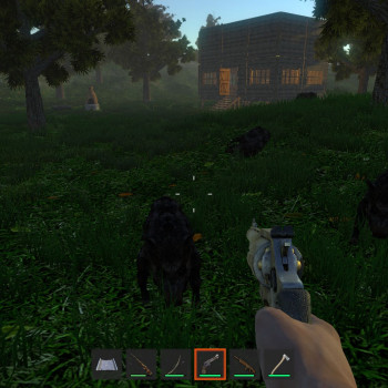 Woodlands Steam Key GLOBAL