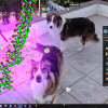 CPU Invaders Steam Key GLOBAL CPU Invaders Steam Key GLOBAL