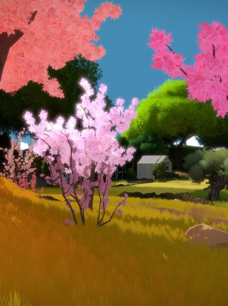 The Witness GOG.COM Key GLOBAL The Witness GOG.COM Key GLOBAL