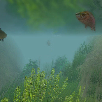 European Fishing Steam Key GLOBAL