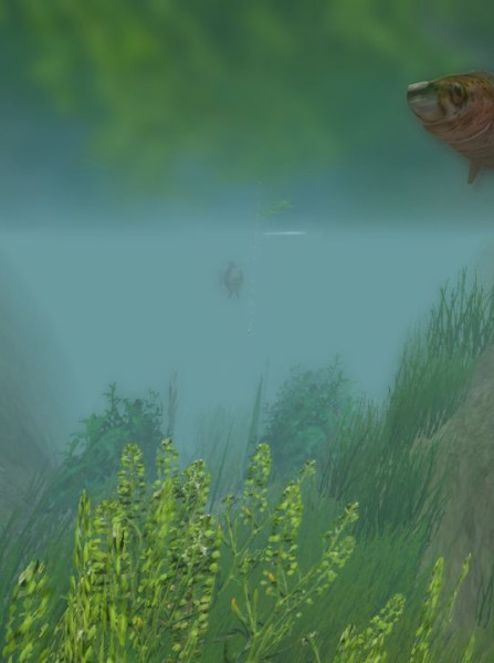 European Fishing Steam Key GLOBAL European Fishing Steam Key GLOBAL