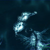 Sparkle ZERO Steam Key GLOBAL Sparkle ZERO Steam Key GLOBAL